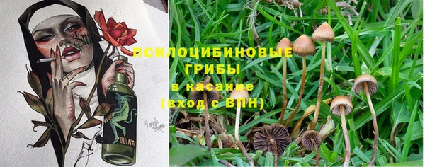 марки nbome Богданович