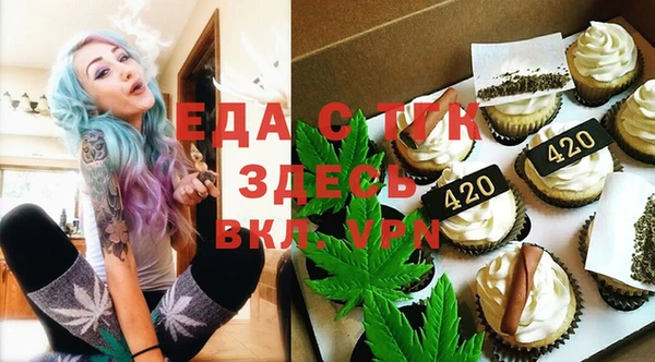 индика Богородск