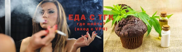 индика Богородск