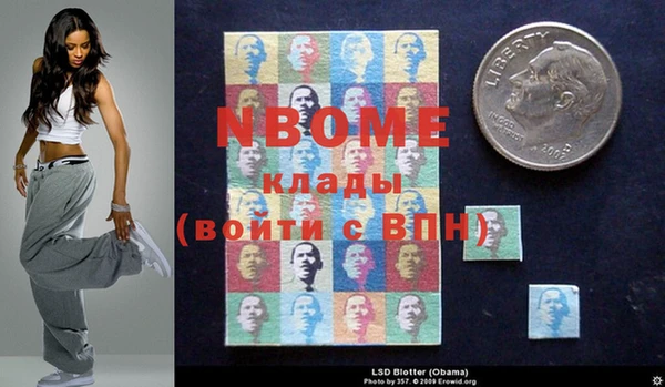 индика Богородск