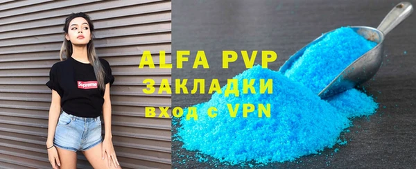 индика Богородск