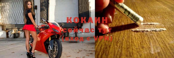 индика Богородск