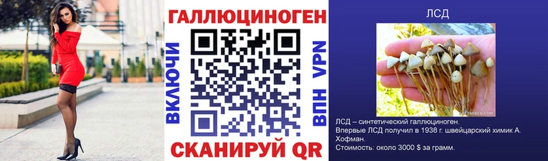 Галлюциногенные грибы мицелий  Купить закладки  Приозерск 